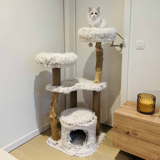 EBI Kratzbaum Marseille, 122 cm, Naturholz – Ansicht 2